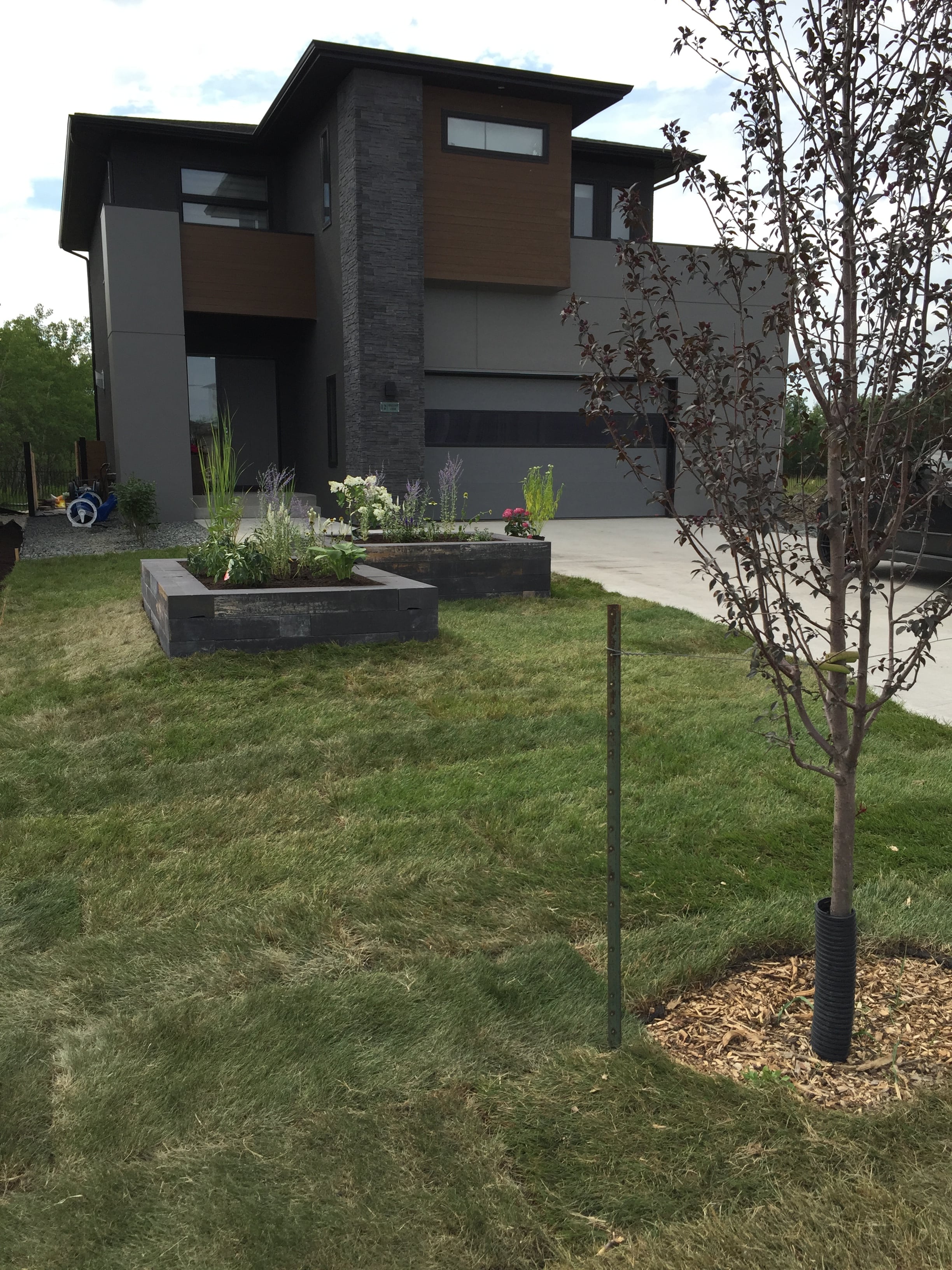 Front yard transformation